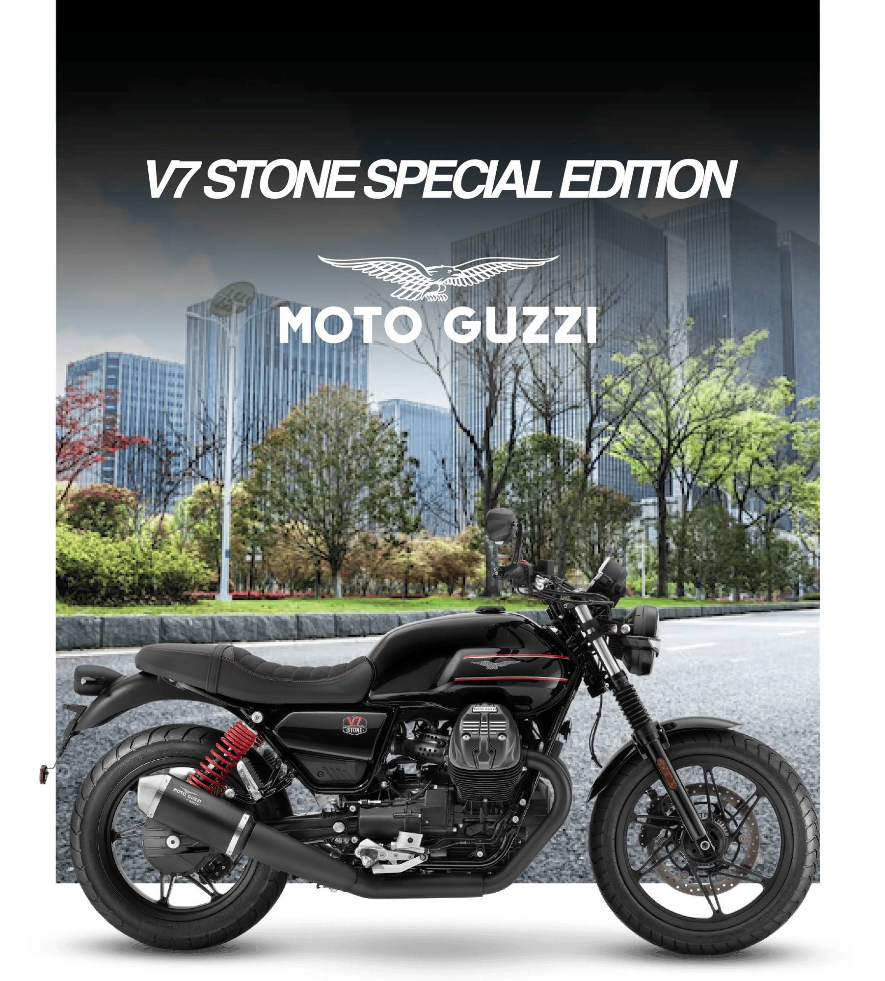 v7 stone special edition